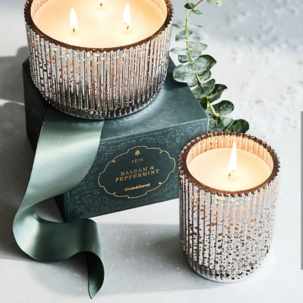 New! 🕯️✨🏔️Crate&Barrel Fete Silver Alpine 1-wick Candle